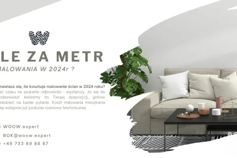 Koszty malowania ścian 2024: Cennik, porady, jak nie przepłacić?