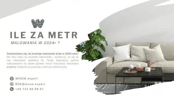 Koszty malowania ścian 2024: Cennik, porady, jak nie przepłacić?